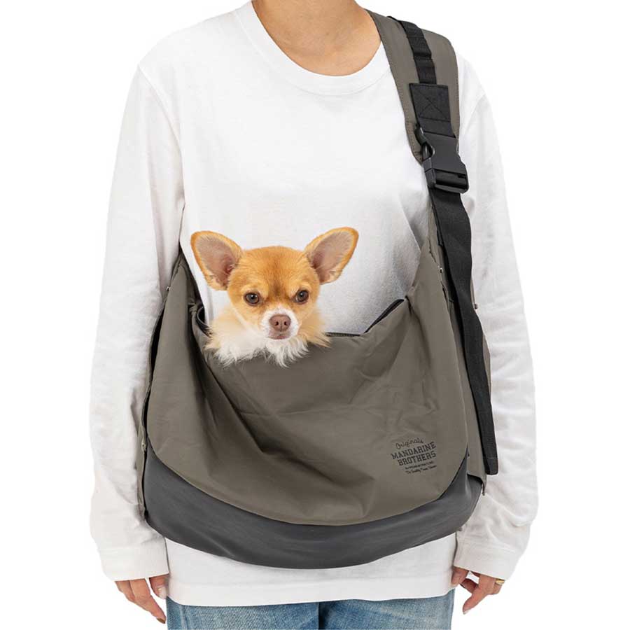 スリーブショルダーからひょっこ顔を出すパグ