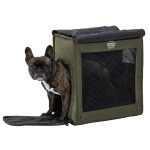 ブリクストンキャリーから顔を出すパグ