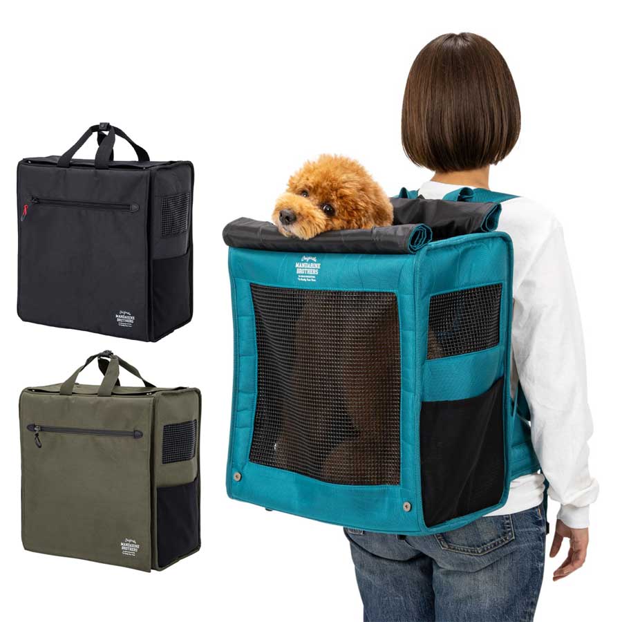 リュックにおとなしく入るトイプードル